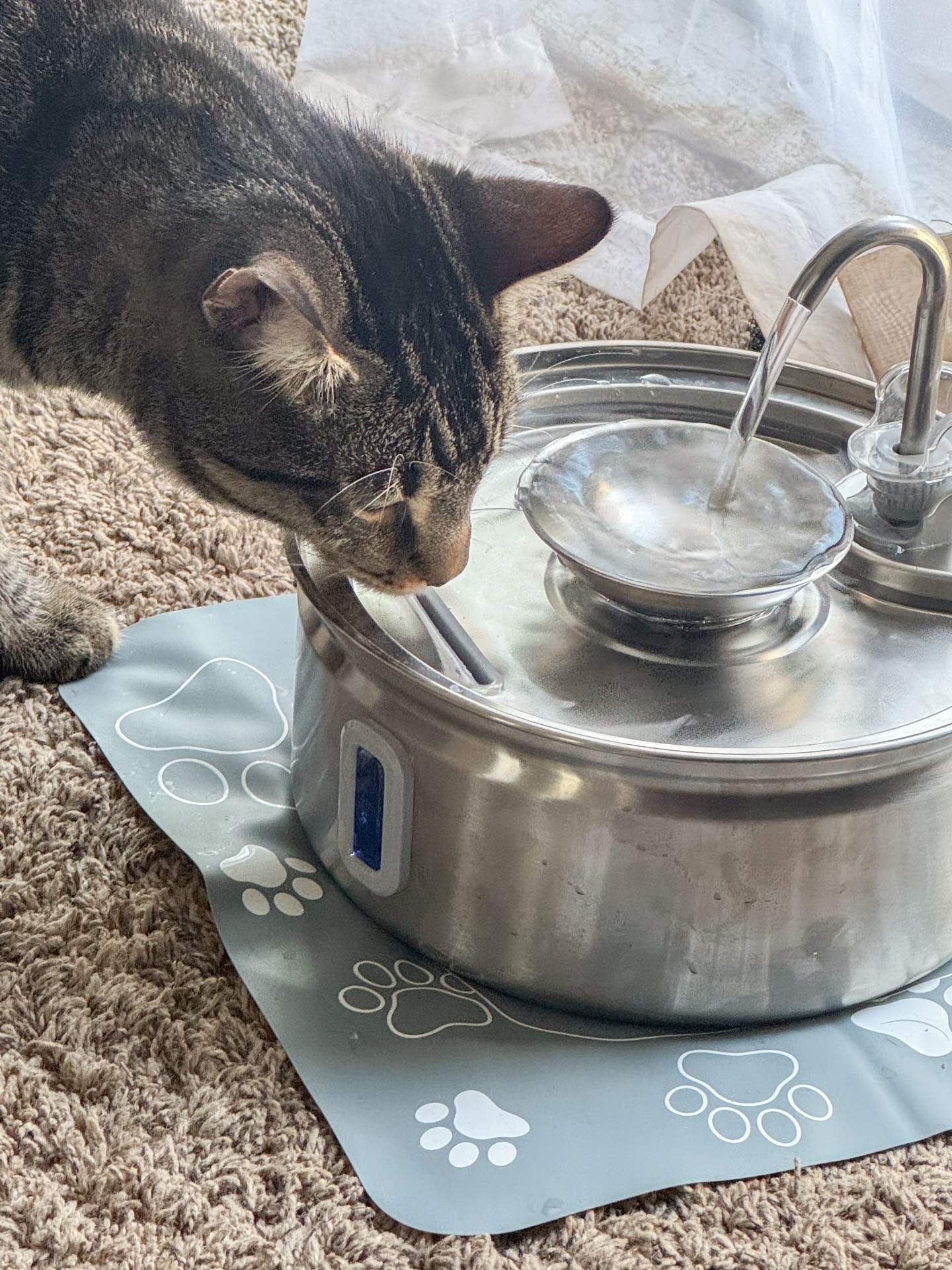 Tabby cat drinking from the Dripurr stainless steel fountain on a paw-print mat