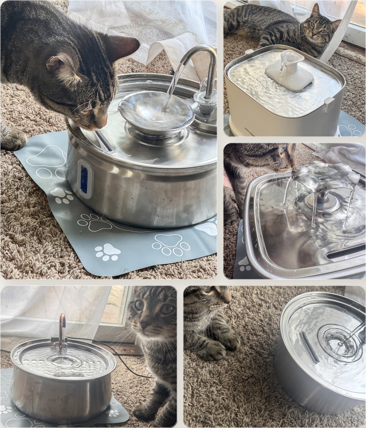 Real-home testing of cat water fountains by petreview.org